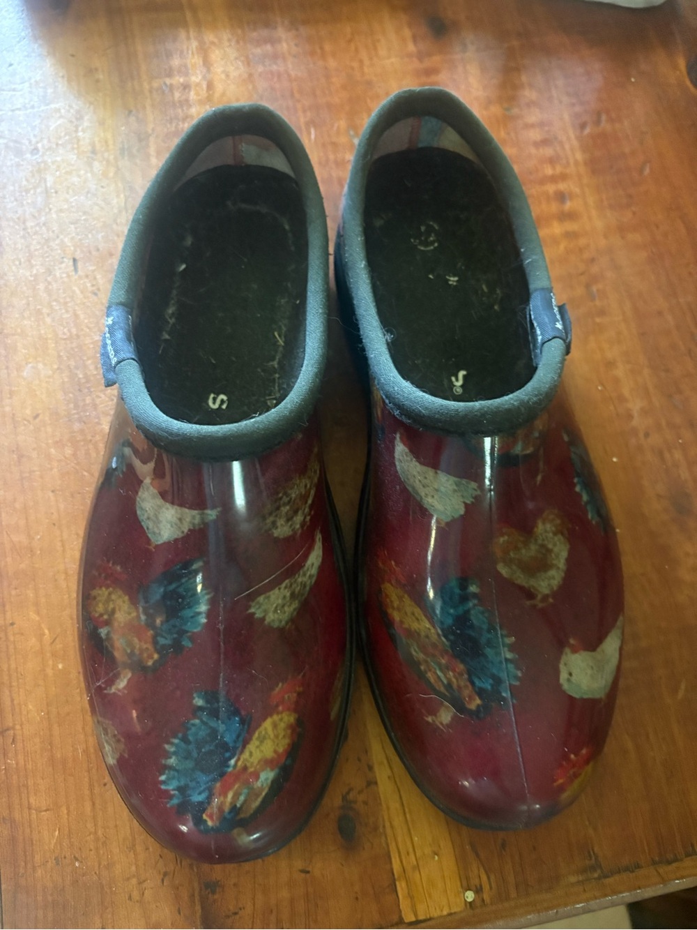 Sloggers Burgundy Waterproof Women's Clog with Multicolor Feather Motif